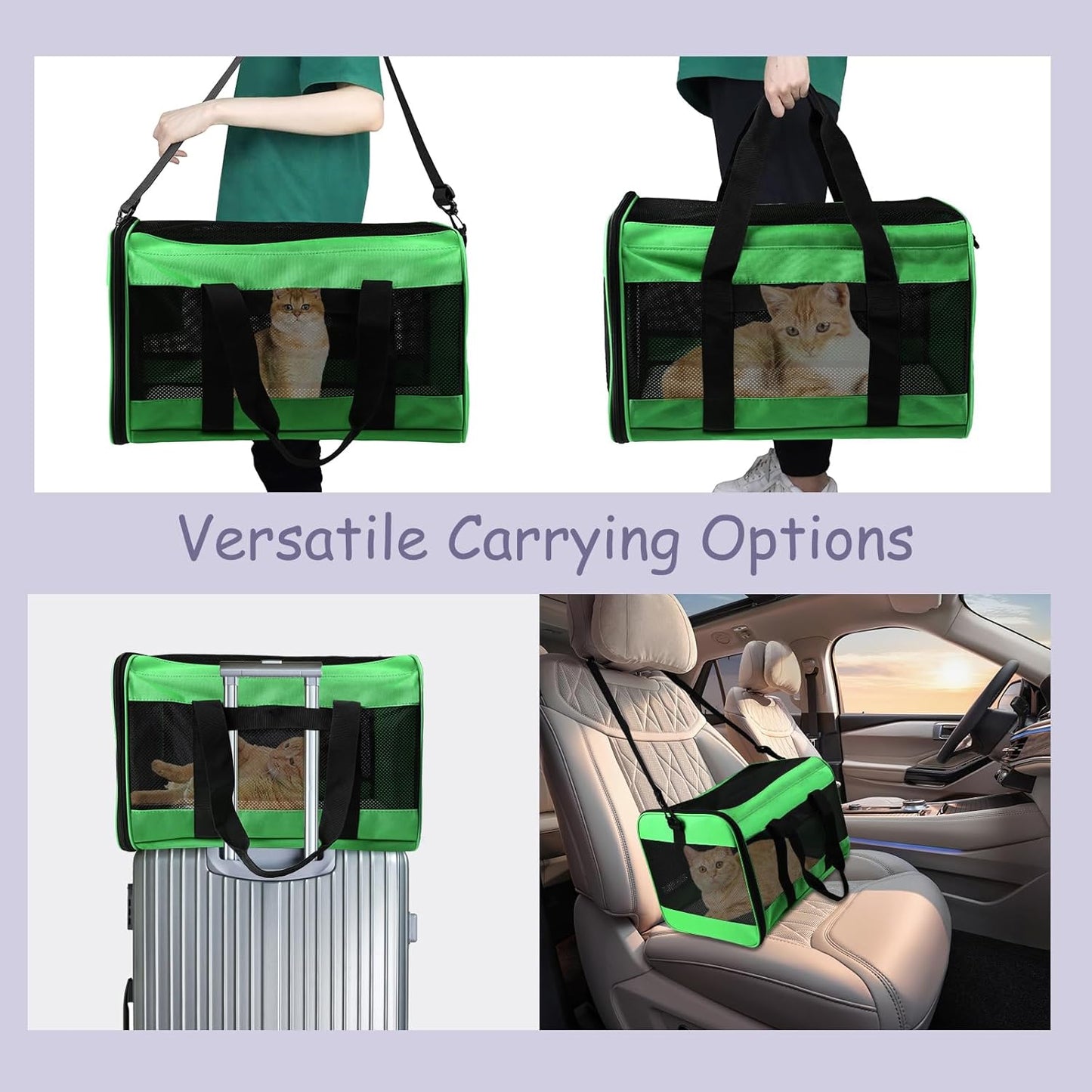 Pet Carrier Airline Approved Pet Carrier Dog Carriers for Small Dogs, Cat Carriers for Medium Cats Small Cat, Small Pet Carrier Small Dog Carrier Airline Approved Cat Pet Travel Carrier-Green