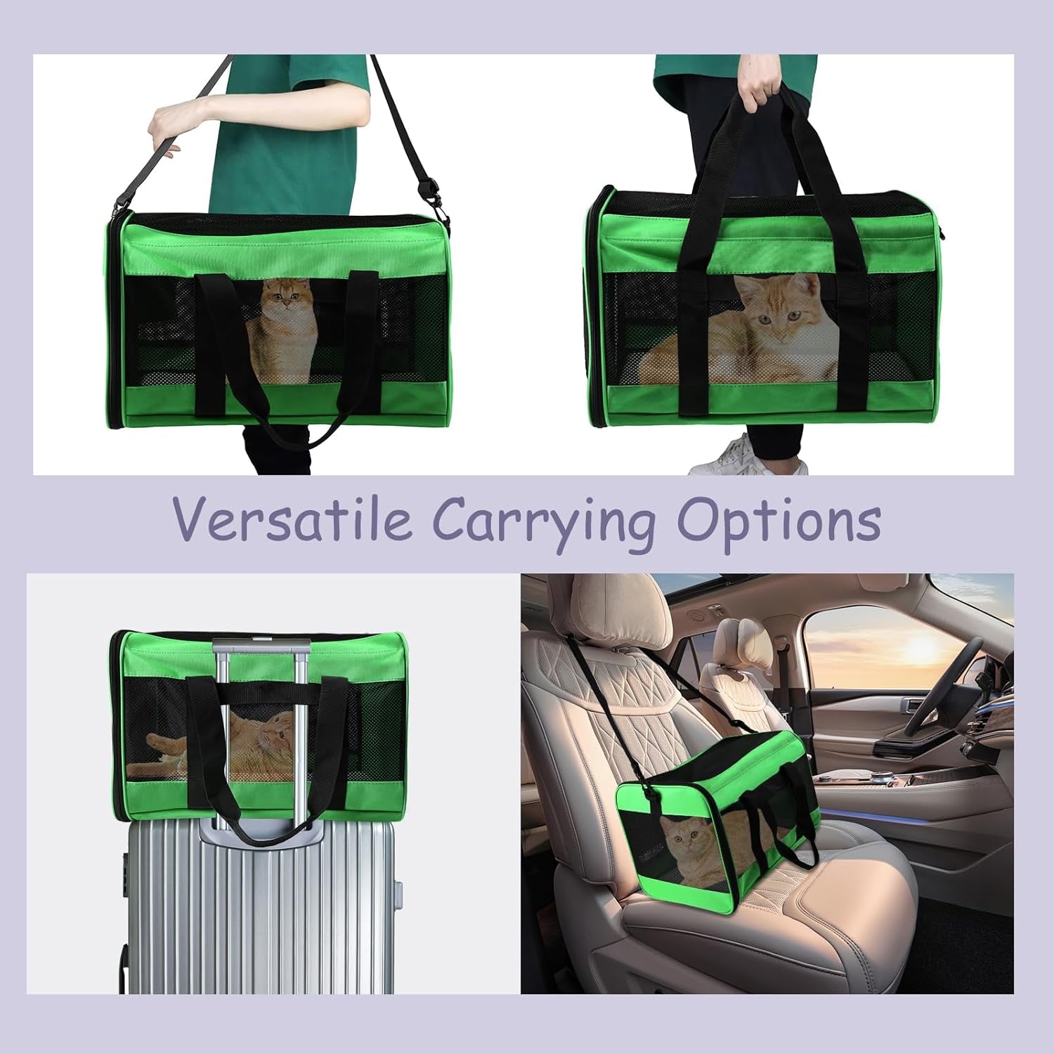 Pet Carrier Airline Approved Pet Carrier Dog Carriers for Small Dogs, Cat Carriers for Medium Cats Small Cat, Small Pet Carrier Small Dog Carrier Airline Approved Cat Pet Travel Carrier-Green